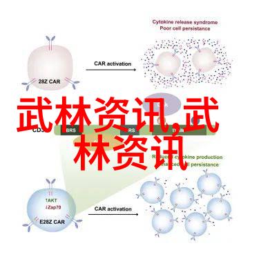 霸道风云最具气质帮派的崛起与传奇