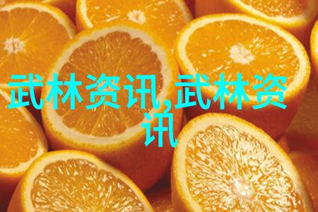 拳影自修追逐内心的武道