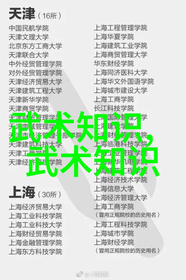 中华武林秘谱揭秘中国十大最强武术的传说与实力