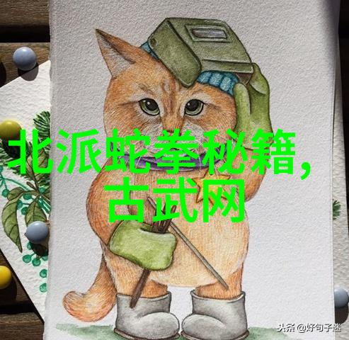 探秘中国武术揭秘30个历史悠久的门派大全