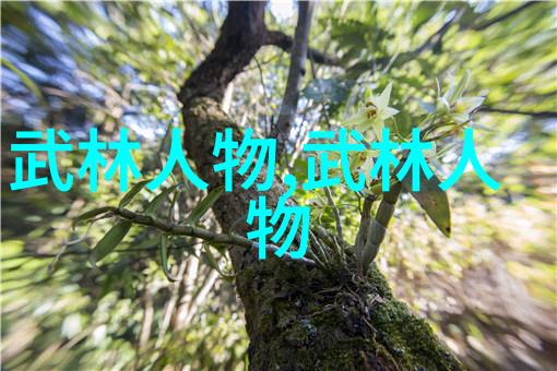 拳影中的危机