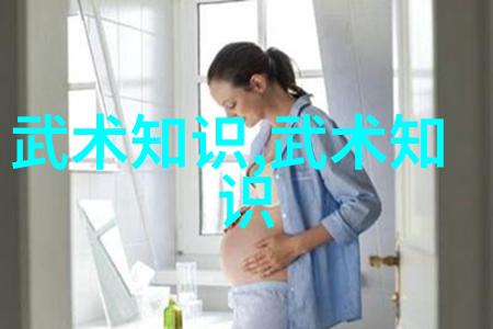 武林秘籍全览揭秘十大真实武功之谜