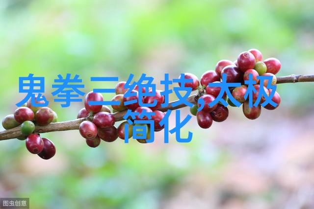 武学秘笈悟道内功外形