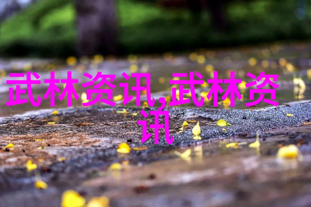 普通人如何提升武功水平的实用指南