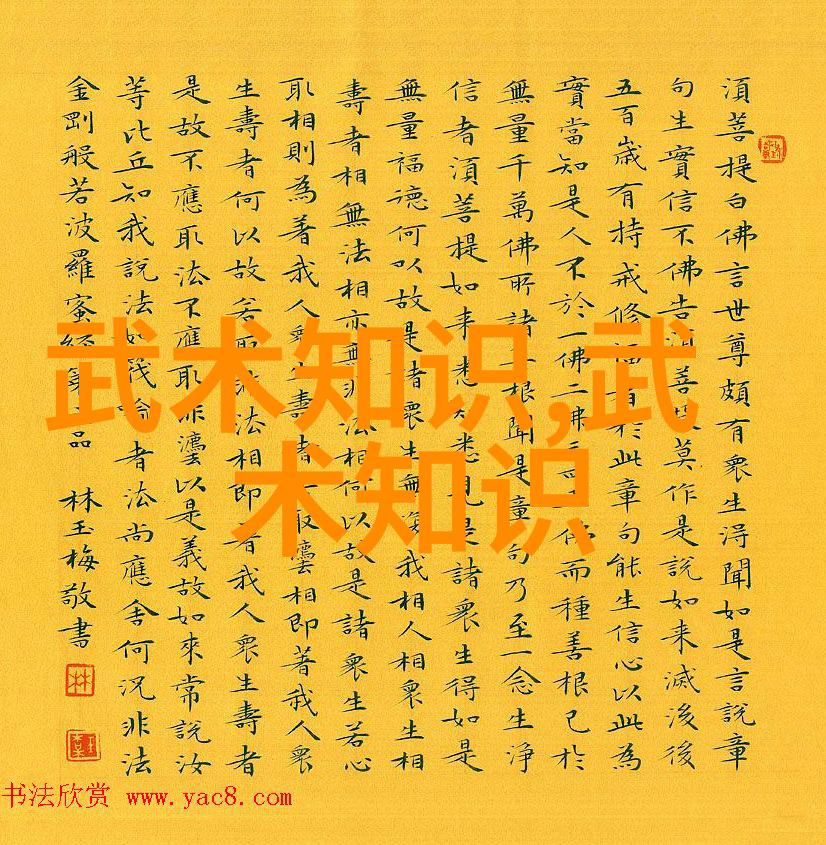 古代武功秘籍的巅峰之作揭秘武林顶尖技艺