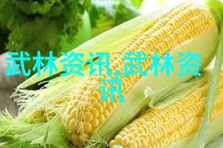 探秘天下第一揭秘世界上最强大的武功之谜