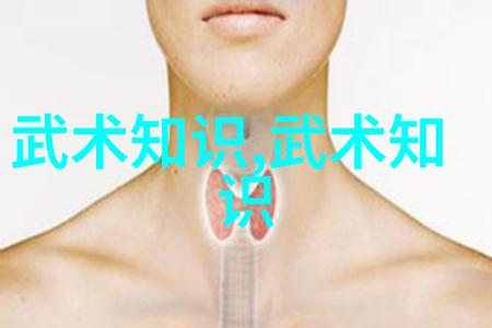 古代武术训练方法内家外功气功修炼兵器演练