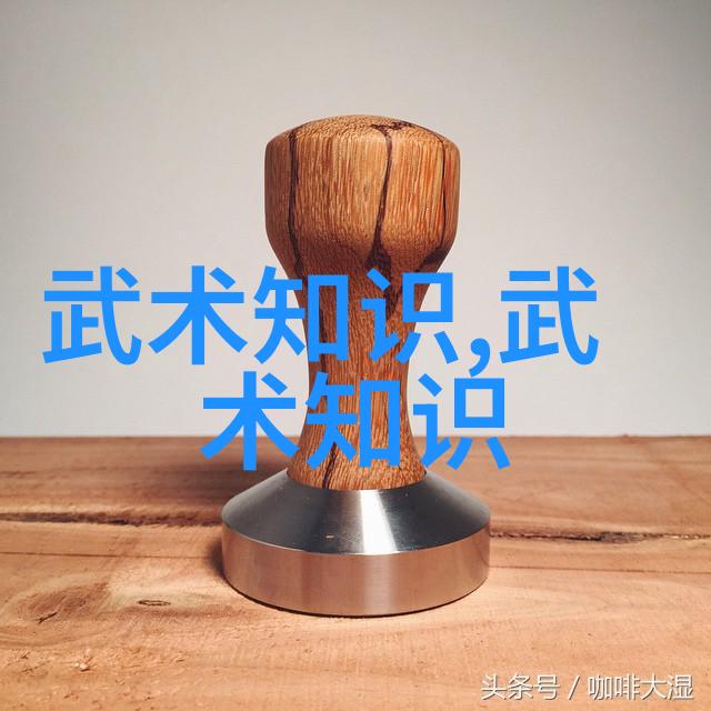 太极拳24式一步一步的教 - 揽月捉星深入解析太极拳24式基础动作