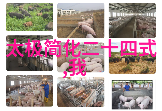 横练大赛冠军他们是如何排名前列的