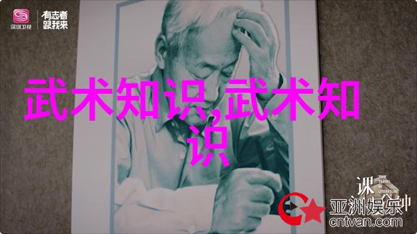 太极功夫秘籍揭秘内在修为与外在形意