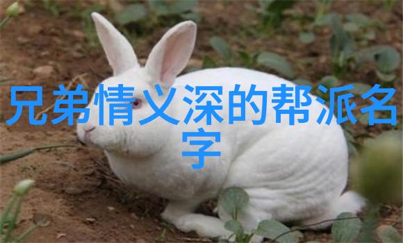 探秘少林武功揭秘少林武功秘籍大全中的古老内刃与隐世拳法