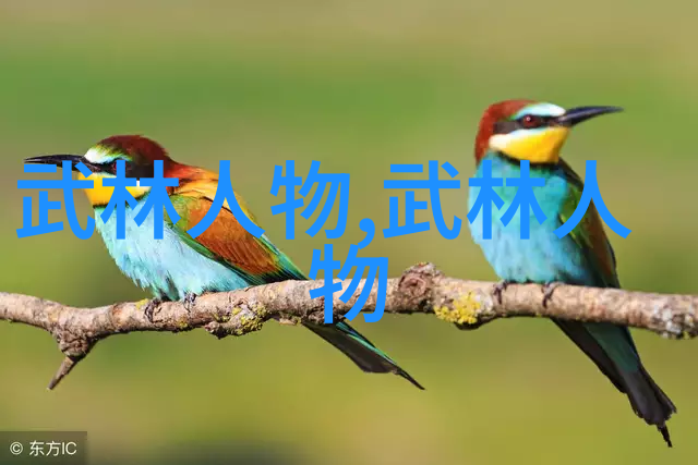 武林秘笈全集从金鸡独立到铁掌铲天教你打造超级英雄