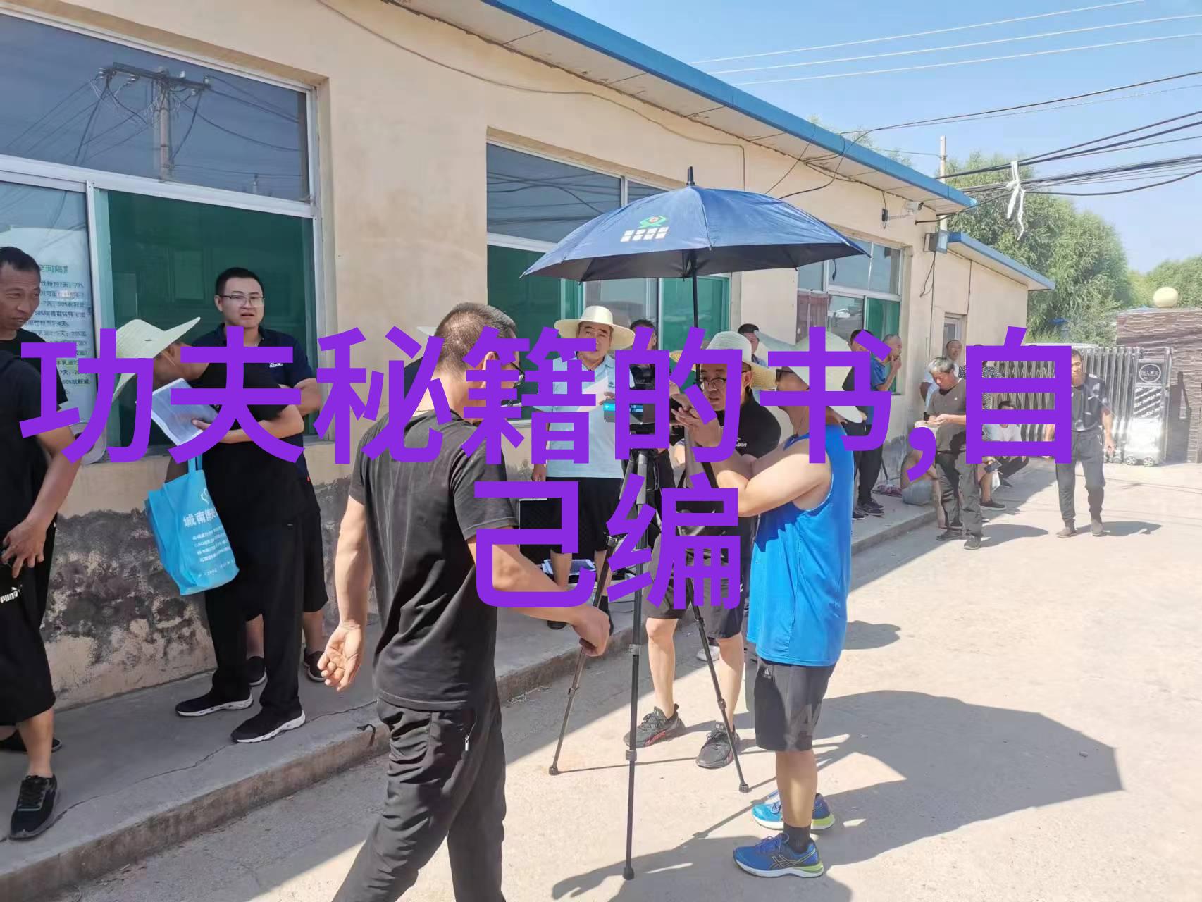 中国武术流派龙虎斗天