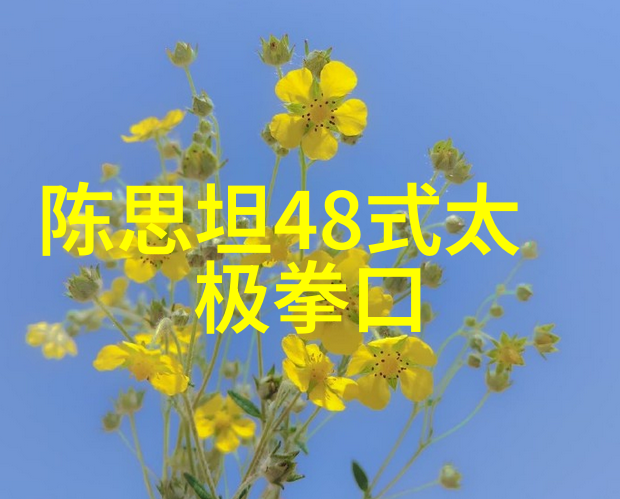 揭秘武功秘籍站桩之谜隐藏着什么