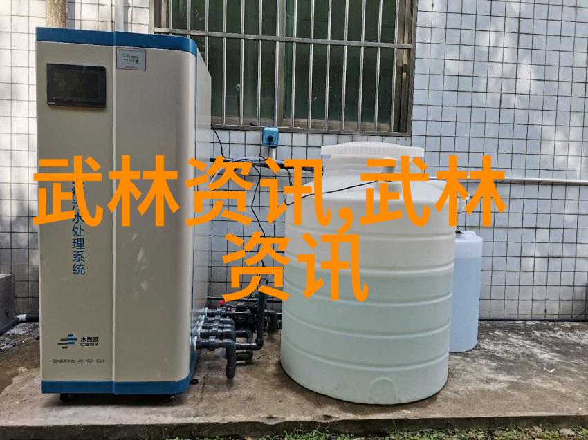 探寻武学源流八极拳的门派归属与实战魅力