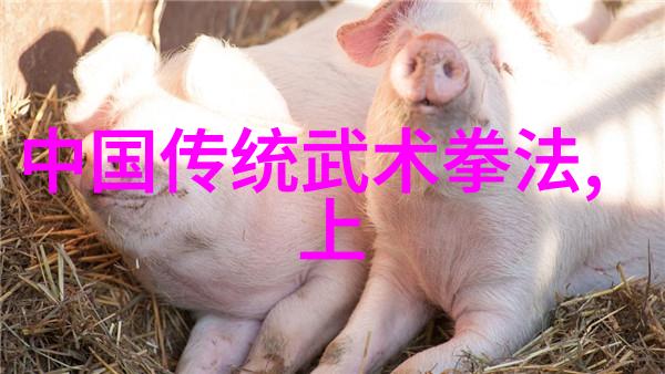 中国武术之魂三十门派的精华与魅力