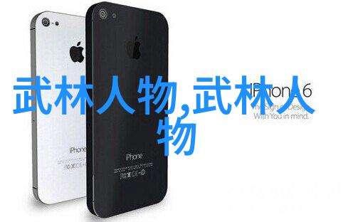 赵堡太极李宗有三合一拳练法初解古风剑法名字在社会流传开来张长林与张顺林共同探讨其奥秘