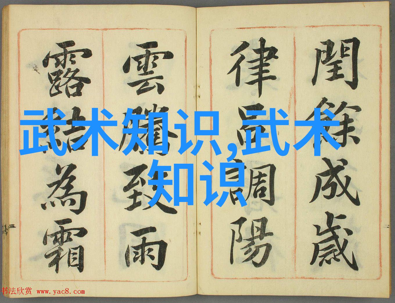 门派拳种门帮派名字大全优雅古风仿若一位悠长岁月的老者静静地坐镇在江湖之巅传授着无尽的武学秘籍