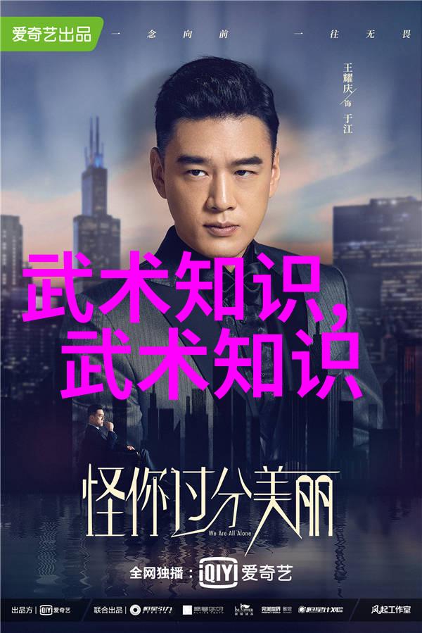 武术的12个基本动作探秘内家外派之技