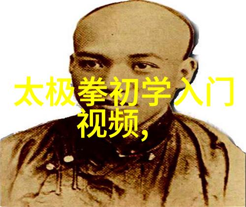 武功秘籍大全招式拳法图片-绝世神功揭秘武林秘籍中的拳法艺术