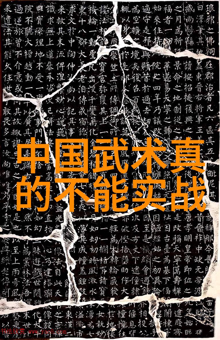 掌握太极拳24式精髓详解每一式图解视频教学