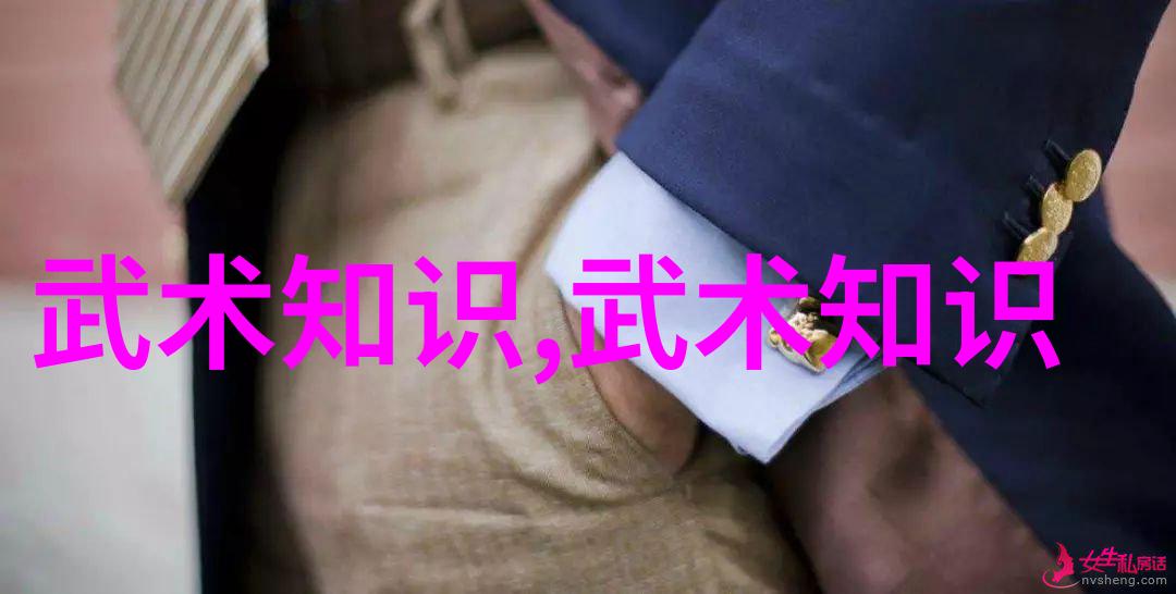 中华武林宝典揭秘中国十大最强武术