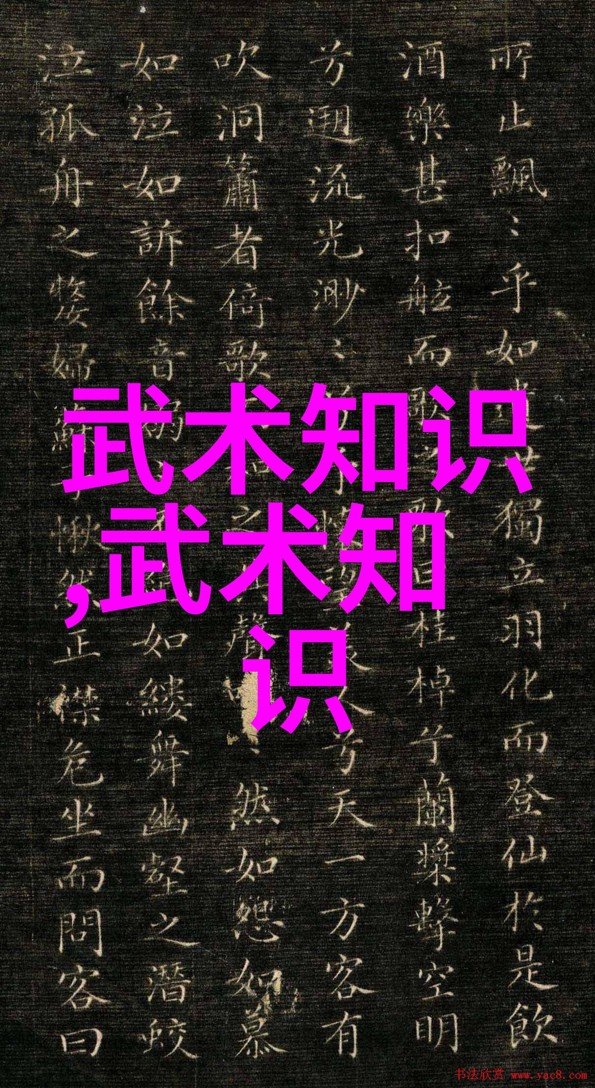 现代门派的演变与特征研究