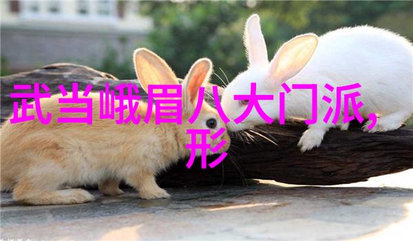 探索奇迹-双指探洞一分钟200次揭秘人类感知世界的极限