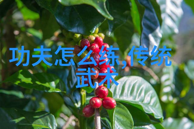 武术万维网官网我如何在武术万维网官网上找到了心中的内功大师