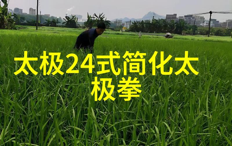 2021年9月的拳击现任冠军人物