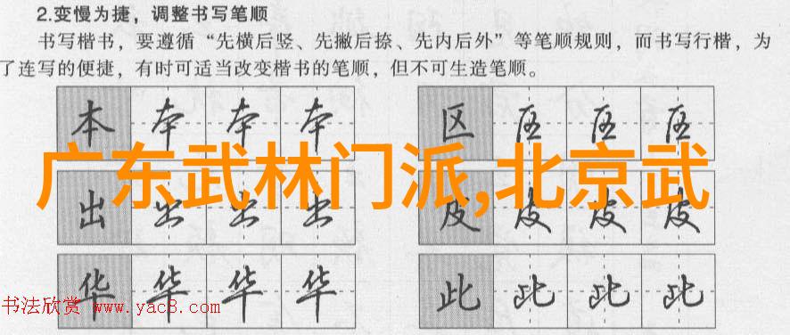 武术的12个基本动作与内在精髓探究一项跨越千年的运动学研究