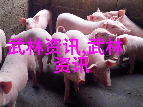 白虎堂教导录勇猛不屈守护江湖正义