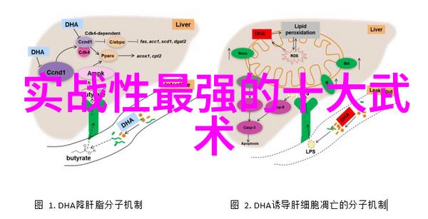 武功门派都有哪些-探秘中华武学之美从少林到丐帮的门派大系