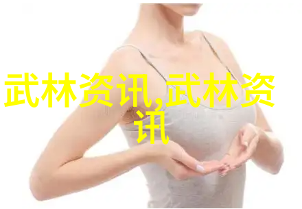 现存的门派精华咏春拳秘笈