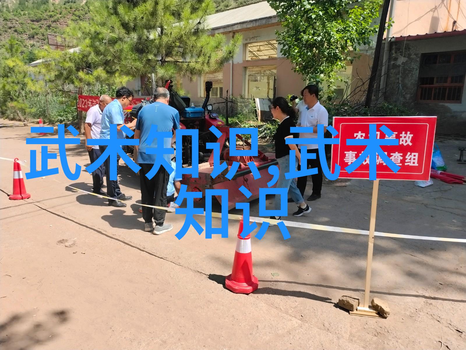 太极拳24式的悠扬动作与内在修为