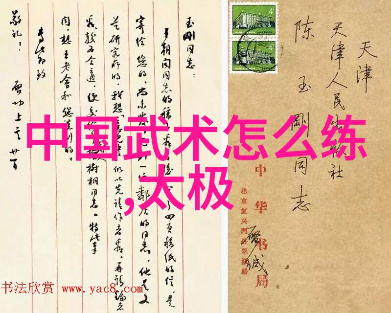 太极拳24式图解于自然之中松然行走如同空无一物的脚步