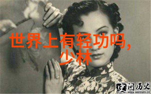 太极拳秘籍图解揭秘武功步法