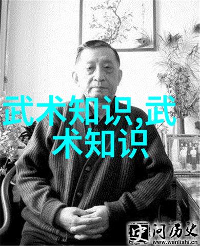 武术活动名称大全探索传统与创新