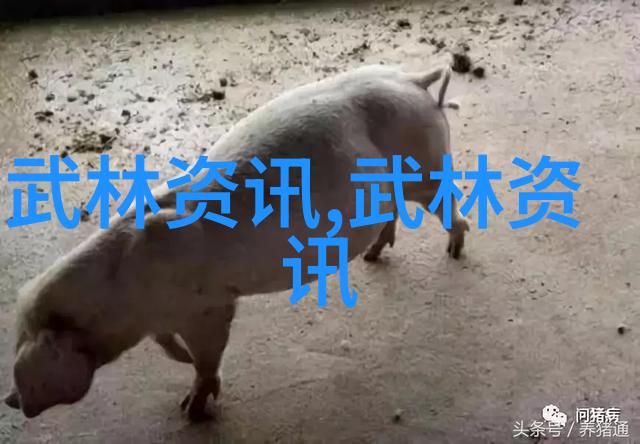 修炼精神强身健体怎样选对适合自己年龄段的武术