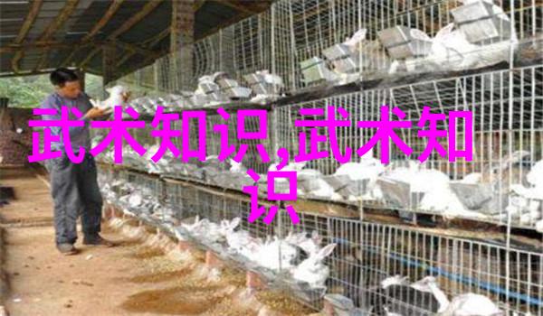 一怪二圣三尸四奇五绝于子顺浅谈太极拳推手技巧出手如锉回手如钩的智慧之舞