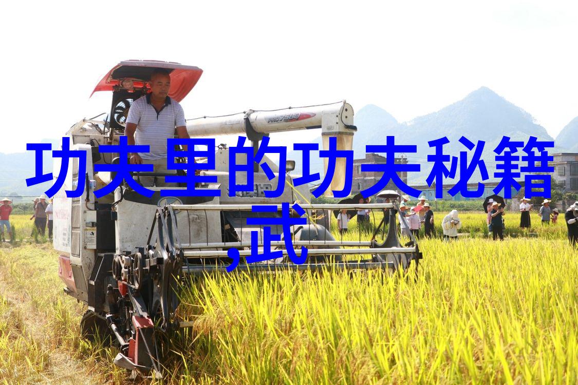 武林秘籍傅式形意拳中国武术十大拳法排名之王