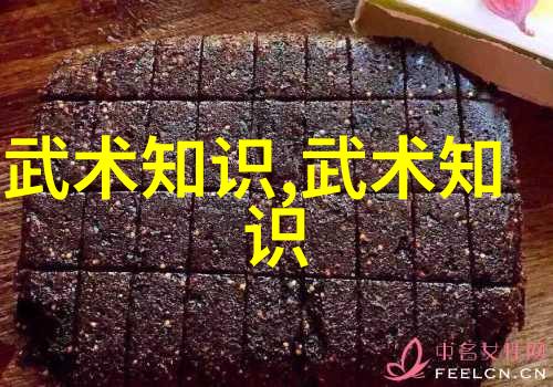 诗意帮会名古风赵氏玄门逍遥桩之舞