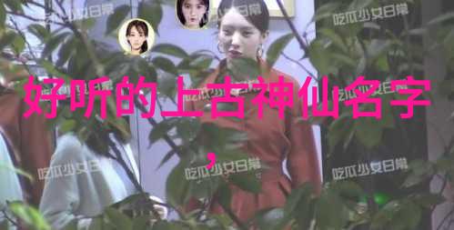 武术学习-独行侠的路适合自学者的武术实践指南