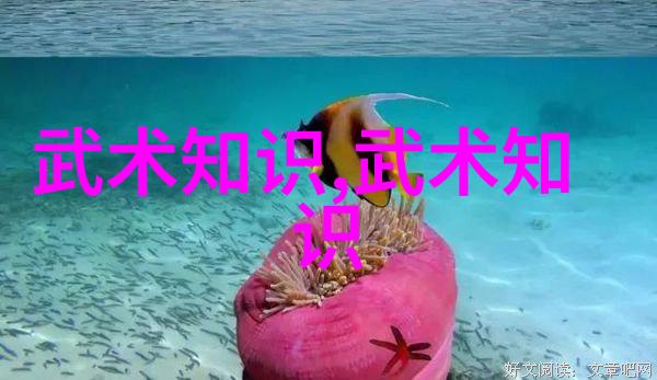 探索贵州武林门派的文化遗迹与传承