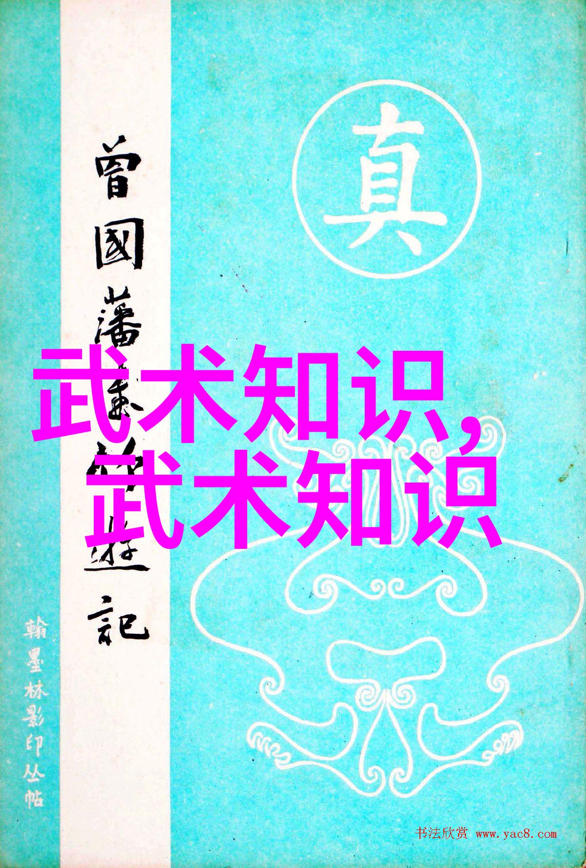 武道禁区揭秘那些禁止武术的神秘网站