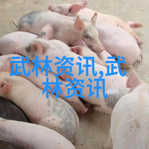 中国武术的巅峰之作揭秘最具实战效力的内功外式结合技巧