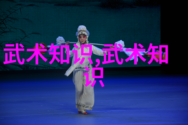 中国武术丰富多样拳法的艺术与魅力中国传统武术种类