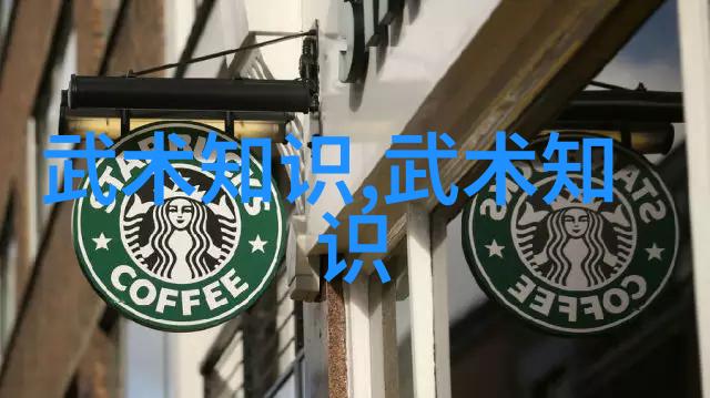 探索太极24式的双面智慧揭秘正与反之奥义