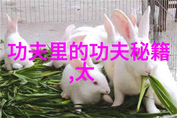 太极拳学习-掌握48式太极拳全套技巧视频教学与口令指引