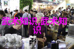 倚剑寻踪追逐金庸作品中武学神秘之名